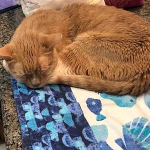 Meet your Posher, Annemarie